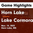 Basketball Game Recap: Lake Cormorant vs. Rosa Fort Lions