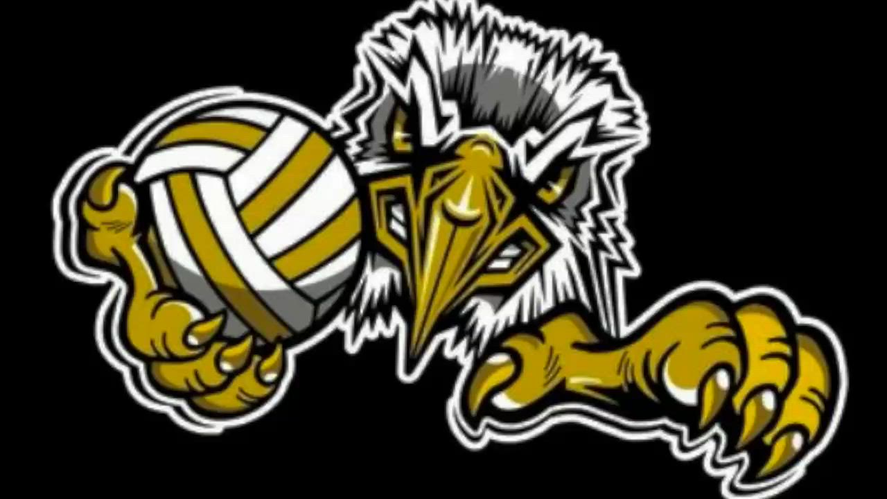 Volleyball Recap: Colonel Crawford Find Success