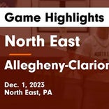 Basketball Game Recap: Allegheny-Clarion Valley Falcons vs. Union Knights/Damsels