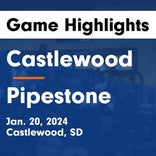 Basketball Game Recap: Castlewood Warriors vs. Estelline/Hendricks