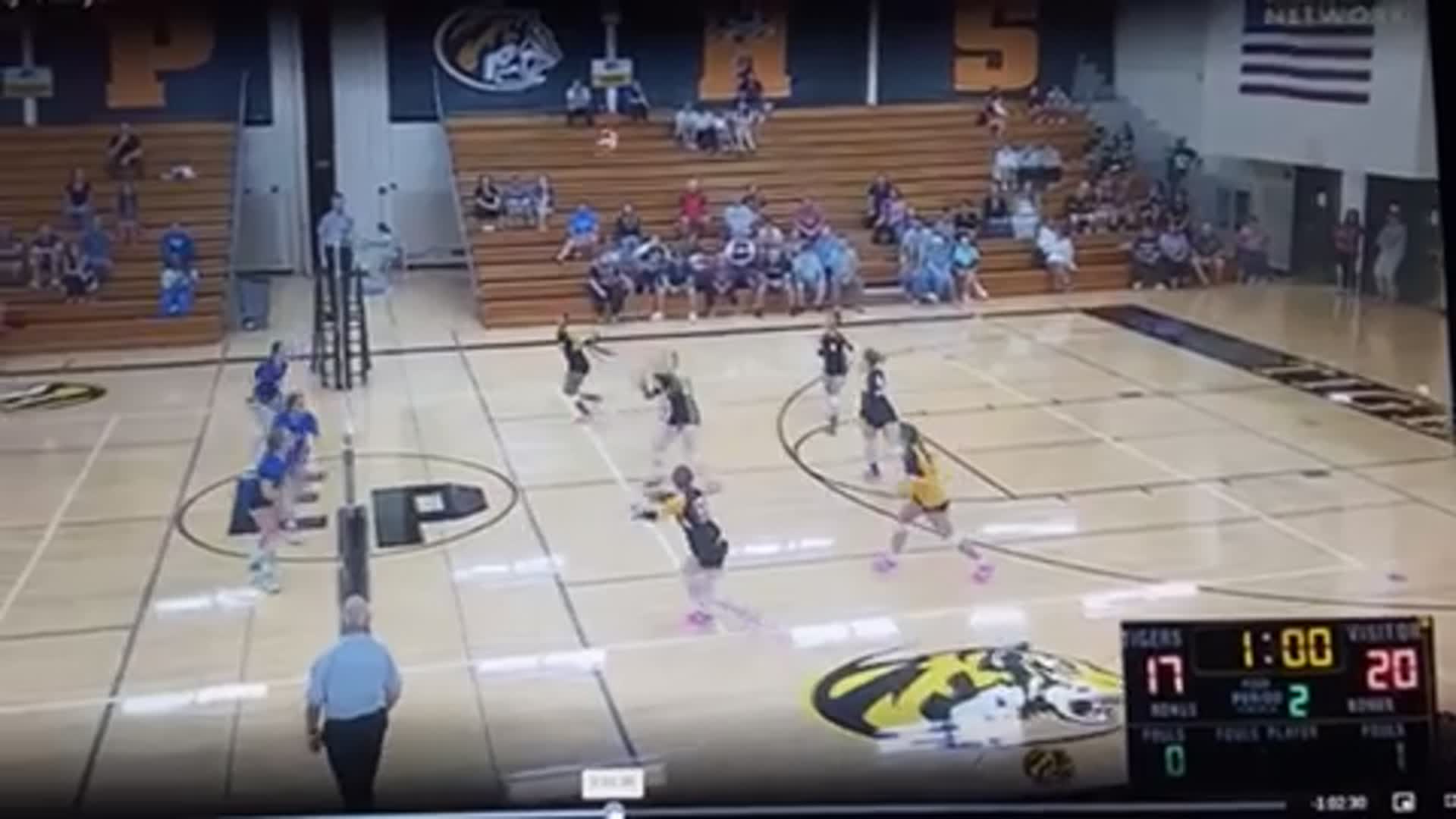 Softball Recap: Elmwood Park Wins Going Away Against Elgin