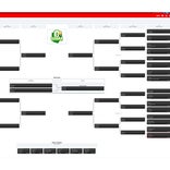 OHSAA girls lax state tournament brackets