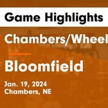 Basketball Game Recap: Bloomfield Bees vs. St. Mary's Cardinals