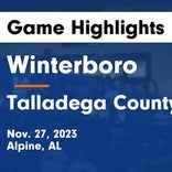 Basketball Game Recap: Talladega County Central Fighting Tigers vs. Talladega Tigers