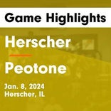 Basketball Game Recap: Herscher Tigers vs. Manteno Panthers