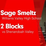 Williams Valley vs. Minersville