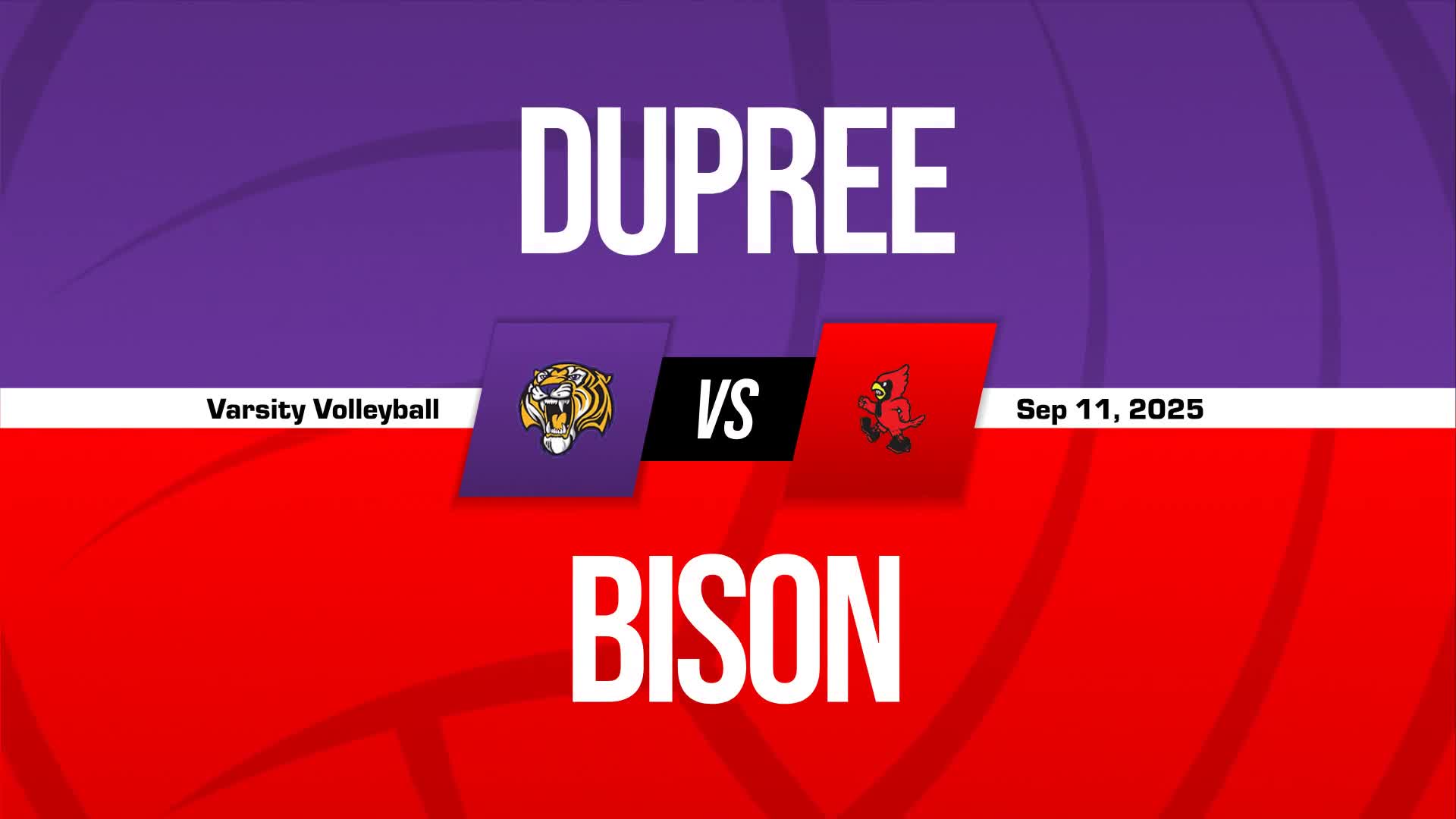 Volleyball Game Preview: Dupree Tigers vs. Timber Lake Panthers + How To Watch