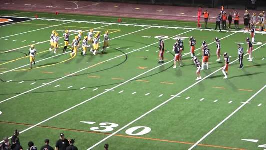 Baseball Recap: Los Gatos Takes a Loss