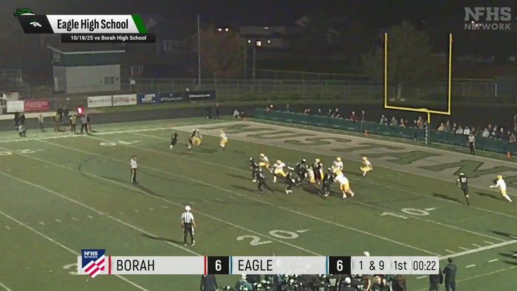 Football Recap: Eagle Takes a Tough Playoff Loss