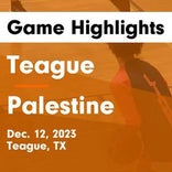 Palestine piles up the points against Teague