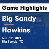 Basketball Game Recap: Big Sandy Wildcats vs. McLeod Longhorns