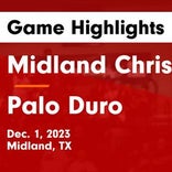 Basketball Game Recap: Palo Duro Dons vs. Rains Wildcats