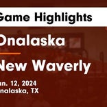 Basketball Game Preview: New Waverly Bulldogs vs. Onalaska Wildcats