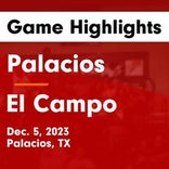 Basketball Game Preview: El Campo Ricebirds vs. Sealy Tigers