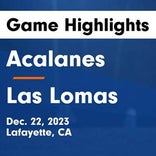 Acalanes' loss ends three-game winning streak on the road