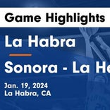 Basketball Game Preview: La Habra Highlanders vs. Sunny Hills Lancers