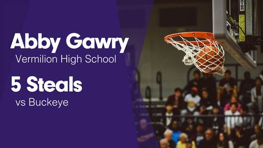 Softball Recap: Vermilion Takes a Loss