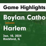 Basketball Game Preview: Boylan Catholic Titans vs. Belvidere Bucs