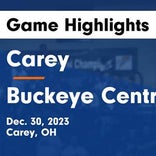 Basketball Game Recap: Buckeye Central Bucks vs. Carey Blue Devils