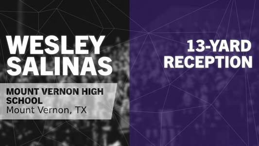 Baseball Game Preview: Mount Vernon Tigers vs. Rains Wildcats