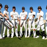 Baseball team preview: No. 5 Hamilton