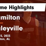 Basketball Game Preview: Haleyville Lions vs. Lawrence County Red Devils