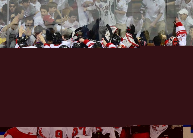 Connecticut Hockey Playoff Brackets, 2015