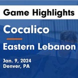 Basketball Game Preview: Cocalico Eagles vs. Lampeter-Strasburg Pioneers