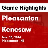 Basketball Game Preview: Pleasanton Bulldogs vs. Wilcox-Hildreth Falcons