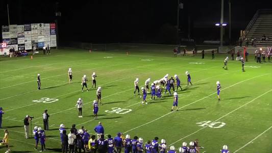 Baseball Game Preview: Andalusia Bulldogs vs. Ariton Purple Cats