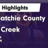 Basketball Game Preview: Sale Creek Panthers vs. Van Buren County Eagles