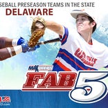 Delaware Baseball Fab 5