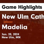 Basketball Game Preview: New Ulm Cathedral Greyhounds vs. Mayer Lutheran Crusaders