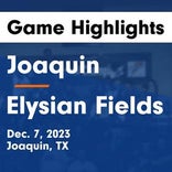 Joaquin vs. Elysian Fields