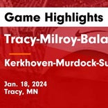 Basketball Game Preview: Tracy-Milroy-Balaton Panthers vs. Adrian/Ellsworth Dragons