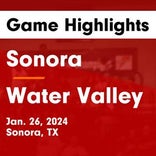 Basketball Game Recap: Water Valley Wildcats vs. Christoval Cougars