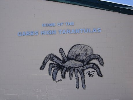Athletes at Gabbs School get to see this painting of their school mascot each day. Creepy, isn't it?