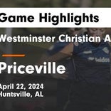 Soccer Game Preview: Priceville Will Face Mars Hill Bible