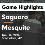 Basketball Game Recap: Saguaro Sabercats vs. St. Mary's Knights