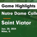 Basketball Game Preview: Niles Notre Dame Dons vs. St. Patrick Shamrocks