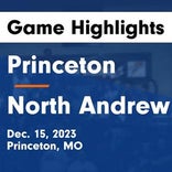 Basketball Game Recap: Princeton Tigers vs. Milan Wildcats
