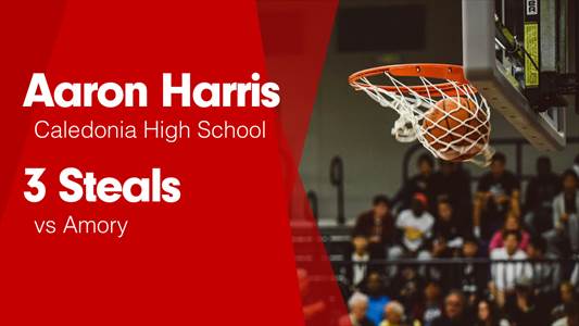 Baseball Recap: Caledonia Takes a Loss