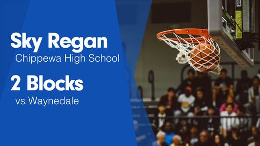 Softball Recap: Ava Panaciulli can't quite lead Chippewa over Hi