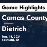 Basketball Game Preview: Camas County Mushers vs. Dietrich Blue Devils