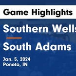 Basketball Game Recap: Southern Wells Raiders vs. Lakeland Christian Academy Cougars