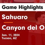 Basketball Game Preview: Canyon del Oro Dorados vs. Salpointe Catholic Lancers