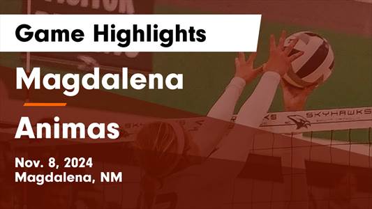 Volleyball Recap: Angel Pintor Leads Animas to Victory over Magdalena
