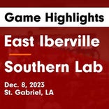 Southern Lab vs. White Castle