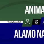 Basketball Recap: Animas Comes Up Short