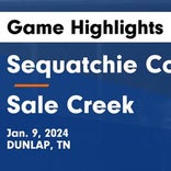 Basketball Game Recap: Sale Creek Panthers vs. Copper Basin Cougars